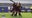 Dallas Trinity FC prepares for final home game