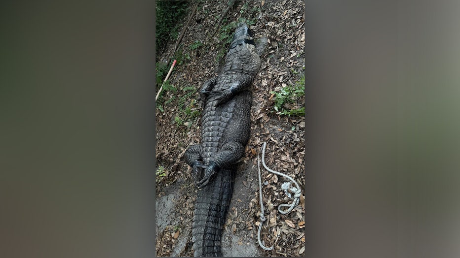 Courtesy: Jacksonville Sheriff's Office