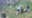 Trackdown: Help find suspects who beat woman unconcious outside Dallas club