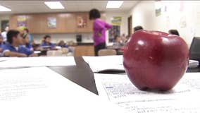 Texas' battle over school choice continues | Texas: The Issue Is